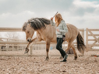 Une équitation comportementale et des valeurs